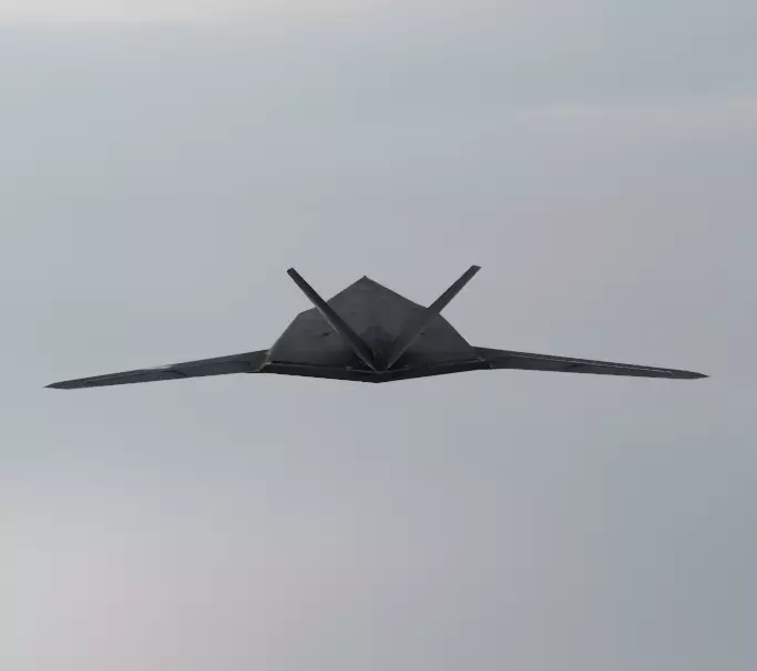Lockheed F-117 Nighthawk  Stealth Attack Aircraft 3D Model Low-poly 3D model_5