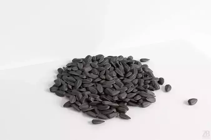 Sunflower Seed