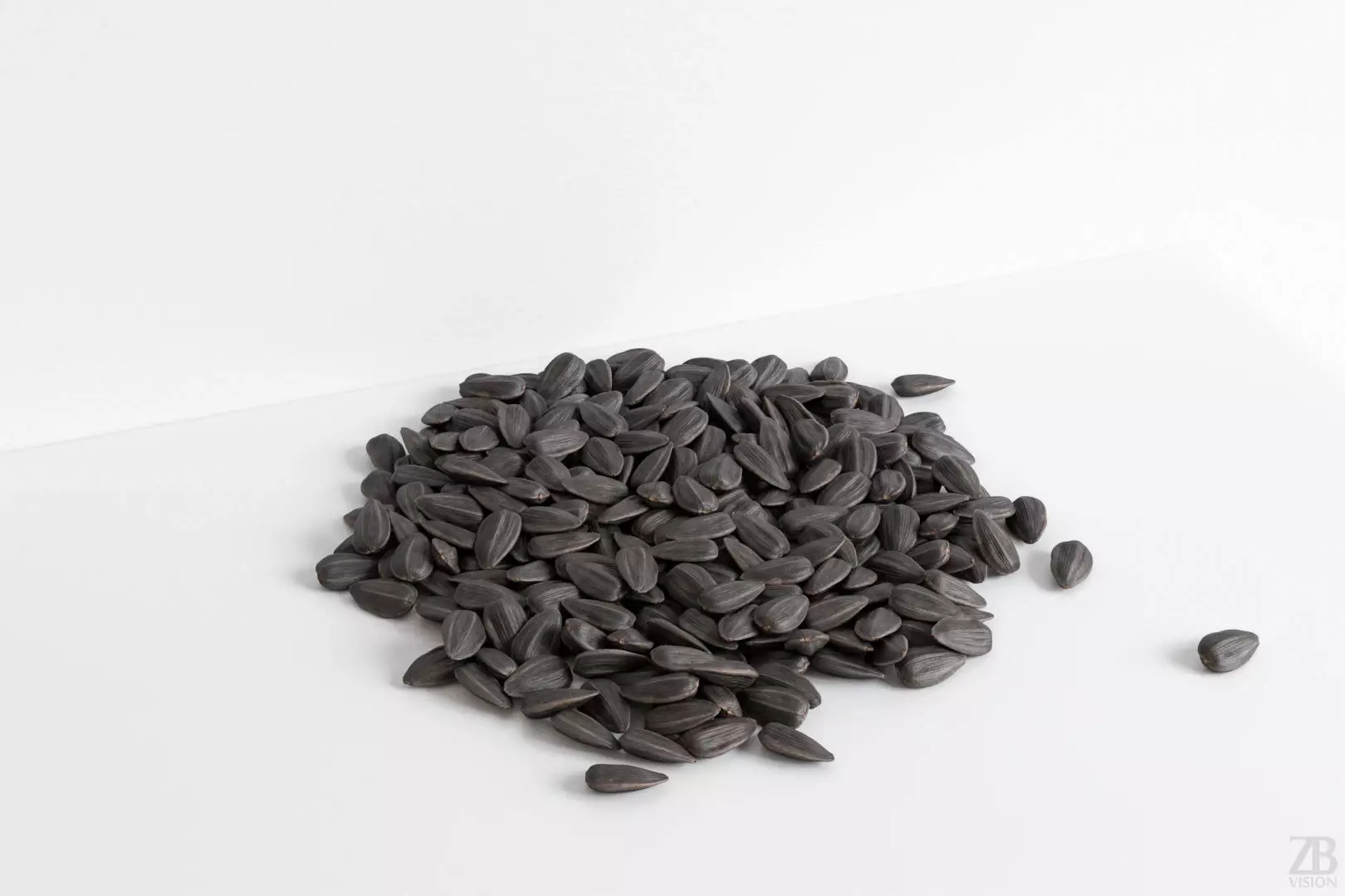 Sunflower Seed 3D model_0