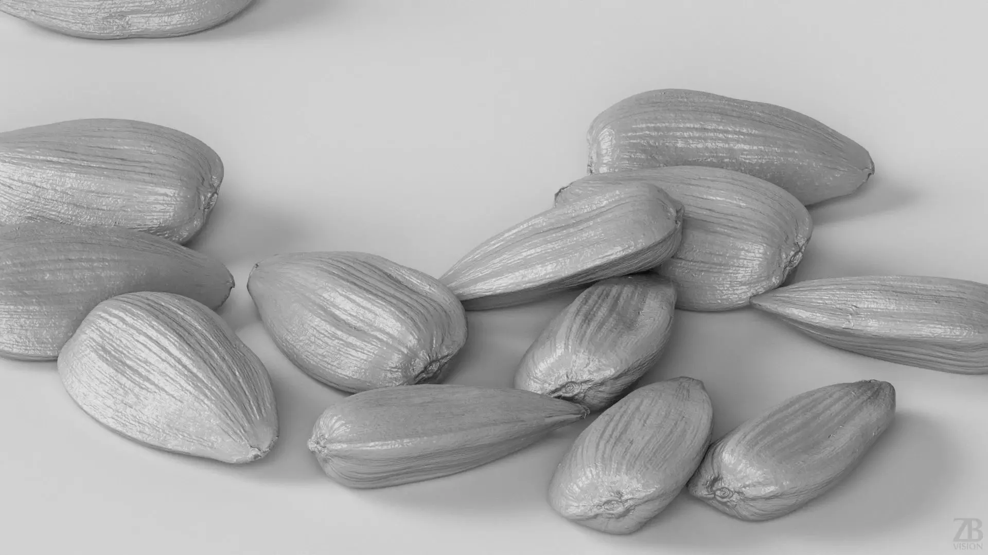 Sunflower Seed 3D model_3