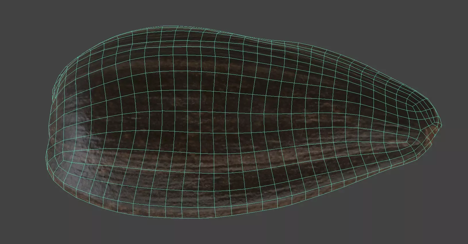 Sunflower Seed 3D model_6