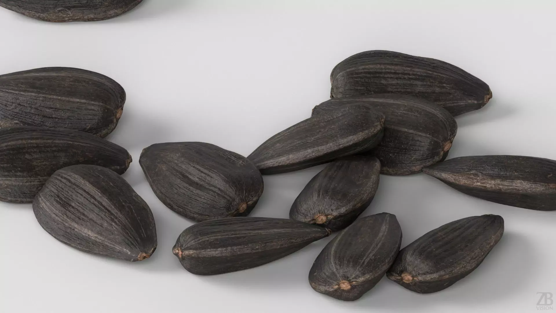 Sunflower Seed 3D model_2