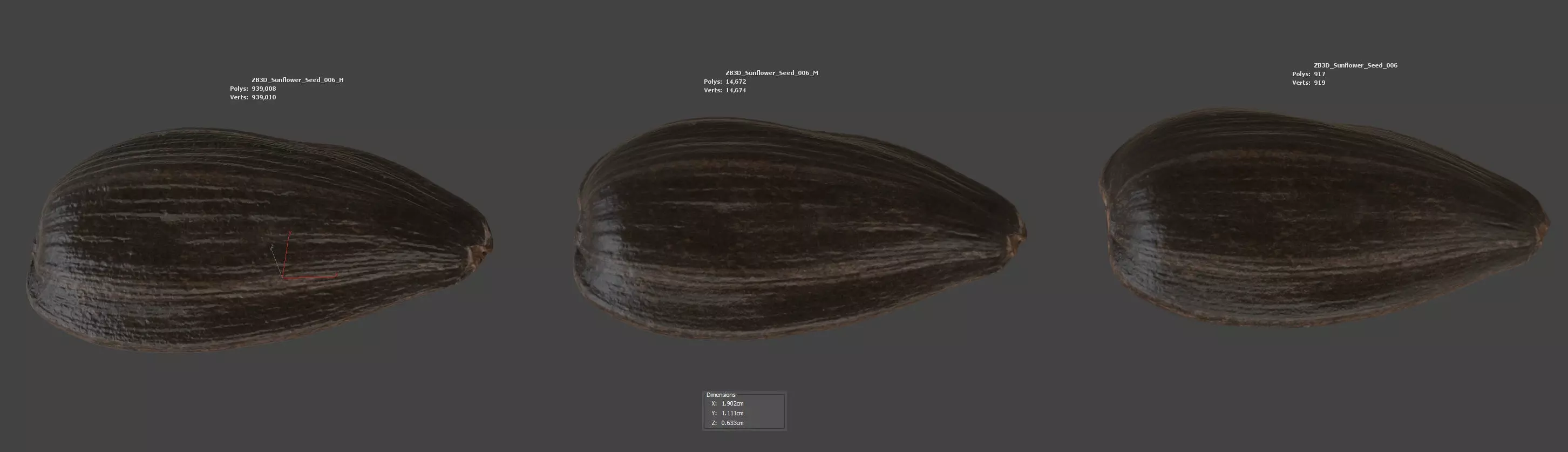 Sunflower Seed 3D model_5