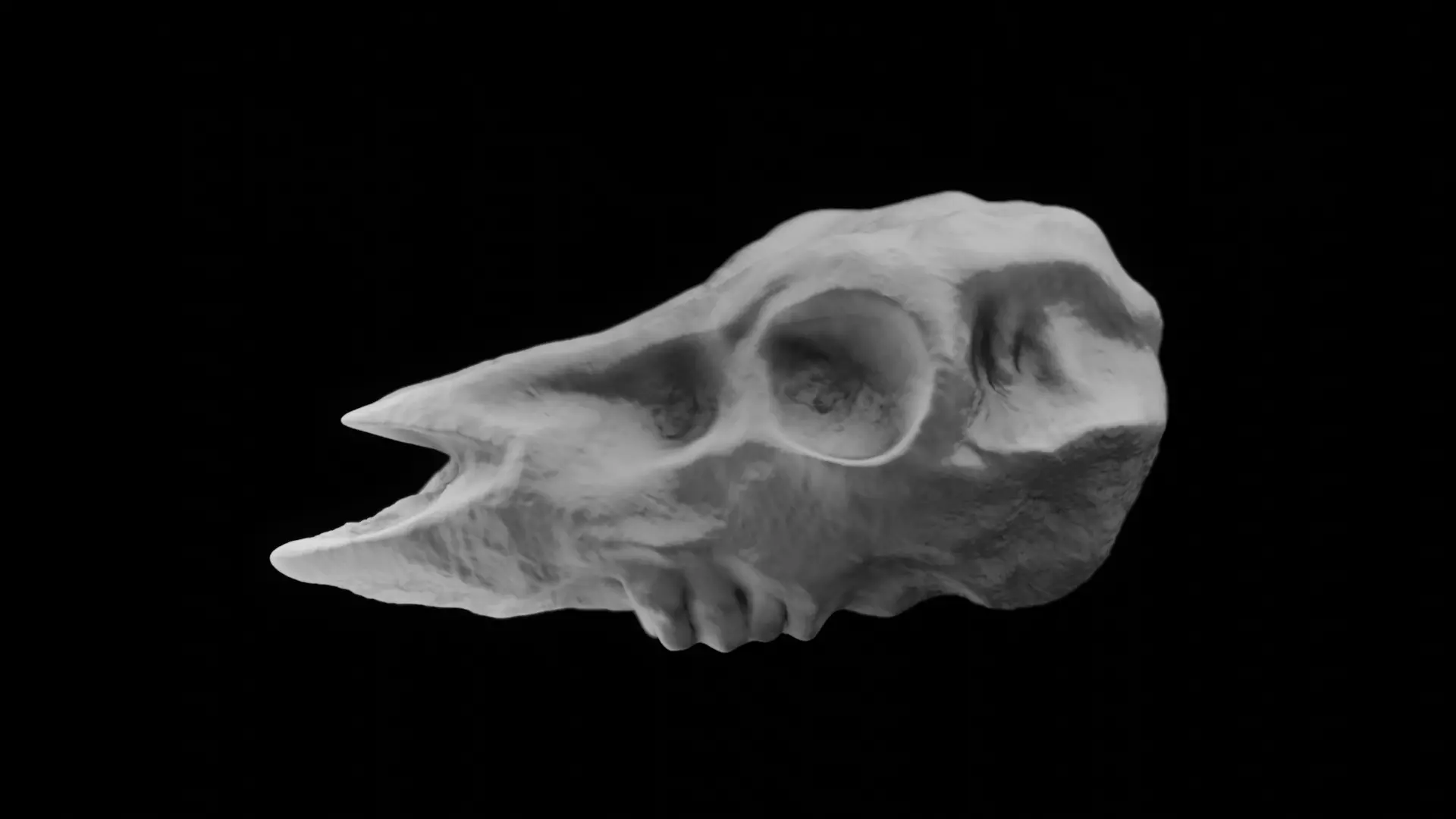 Deer Skull Sculpt Free 3D print model_1
