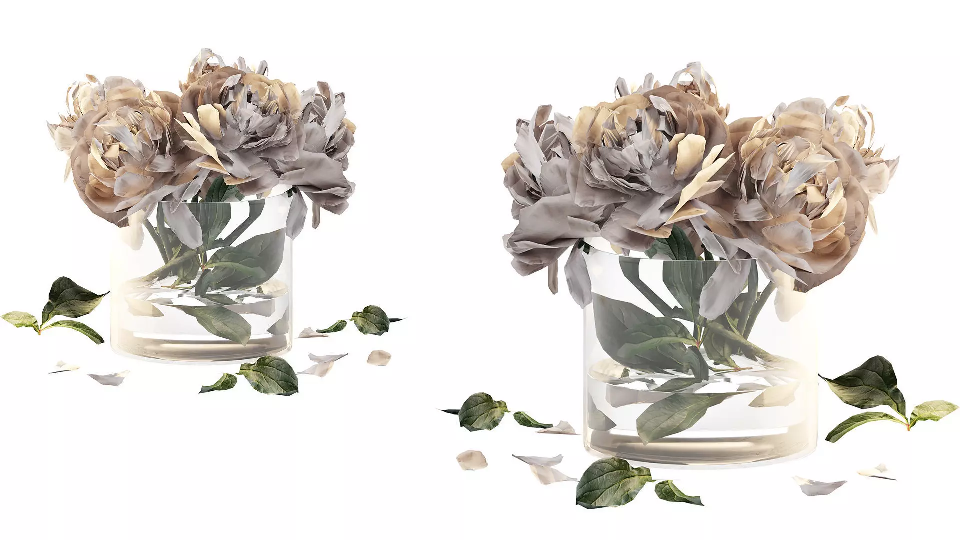 Bouquet of peonies in a glass vase 3D model_3
