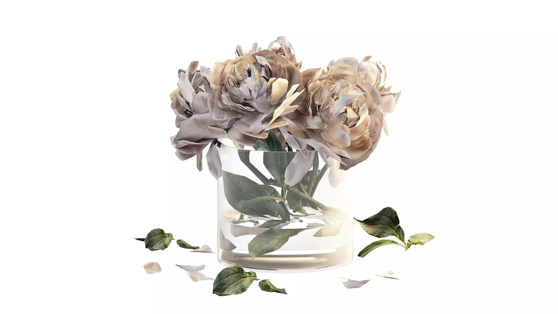 Bouquet of peonies in a glass vase 3D model_4