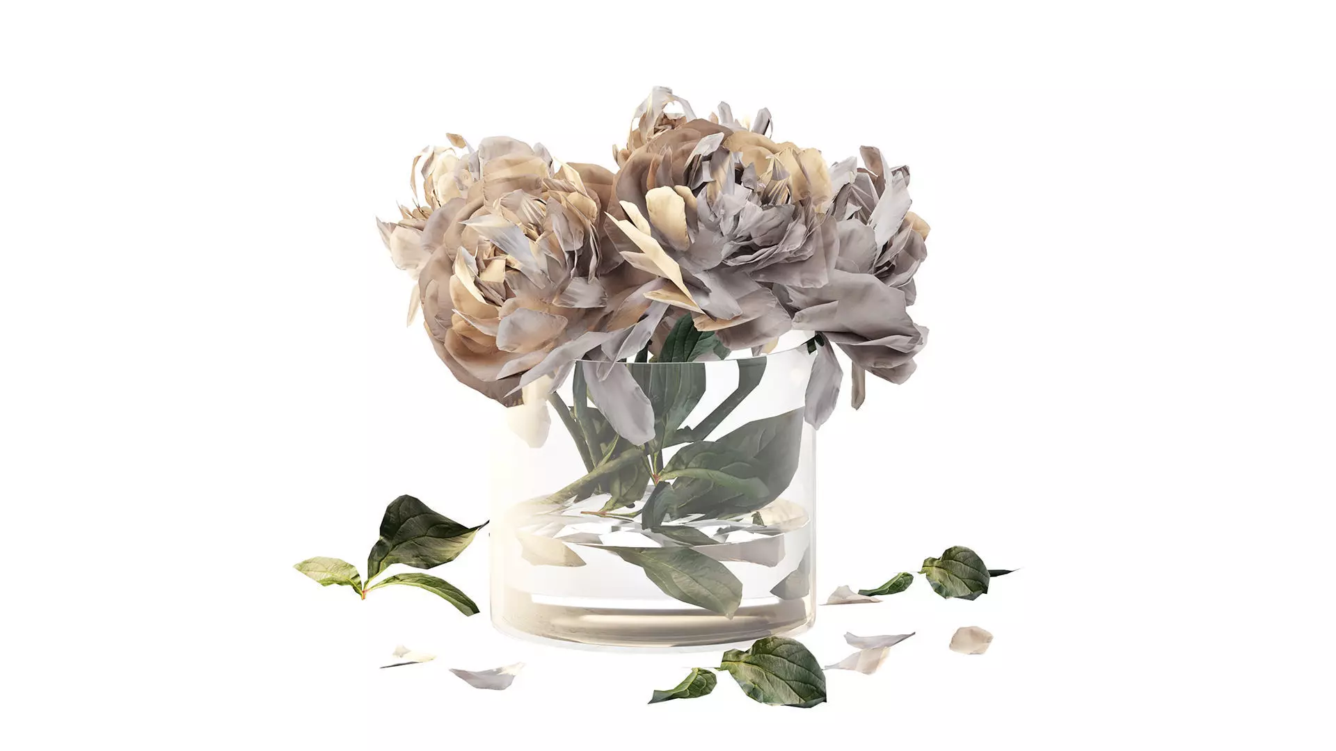 Bouquet of peonies in a glass vase 3D model_0