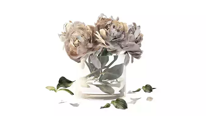 Bouquet of peonies in a glass vase