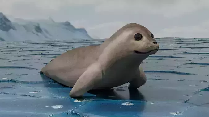 Seal - Sea Lion 3D Model