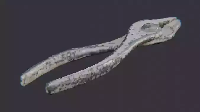 Rusty Metal Pliers Hand Tool