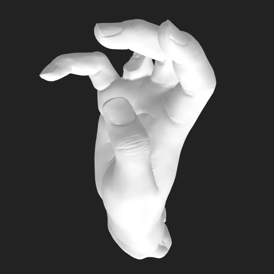 Severed Hand STL - Bloody Halloween Horror 3D Printable  3D print model_7