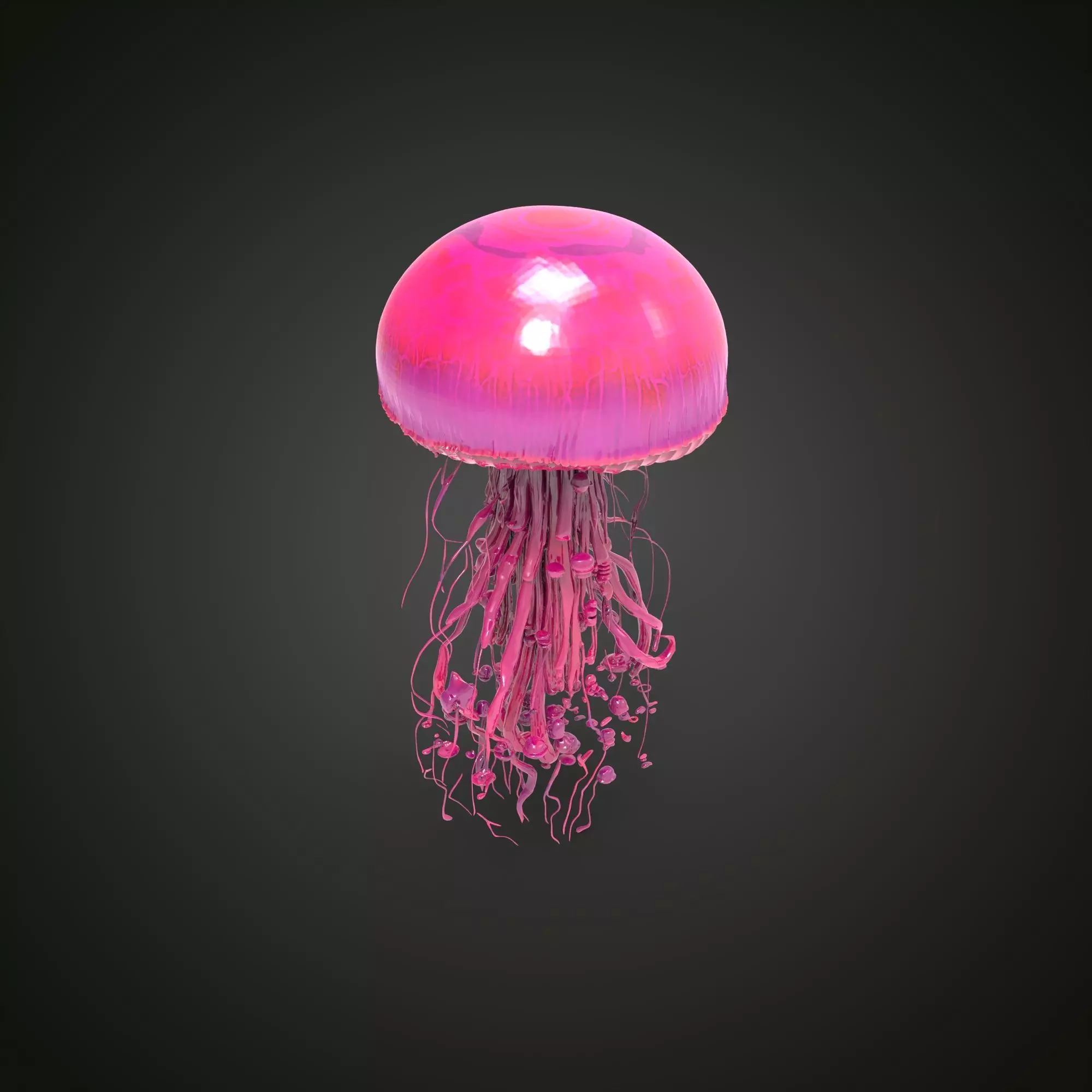 Pink  jellyfish 3D model_3
