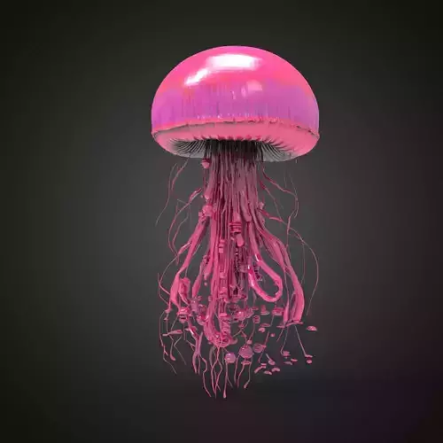 Pink  jellyfish