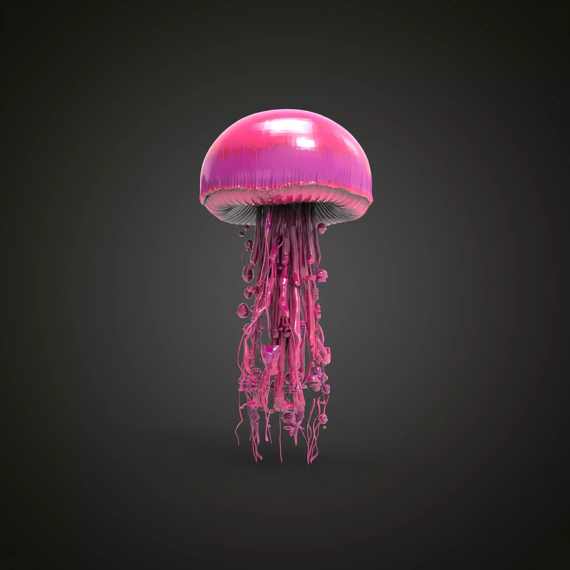Pink  jellyfish 3D model_5