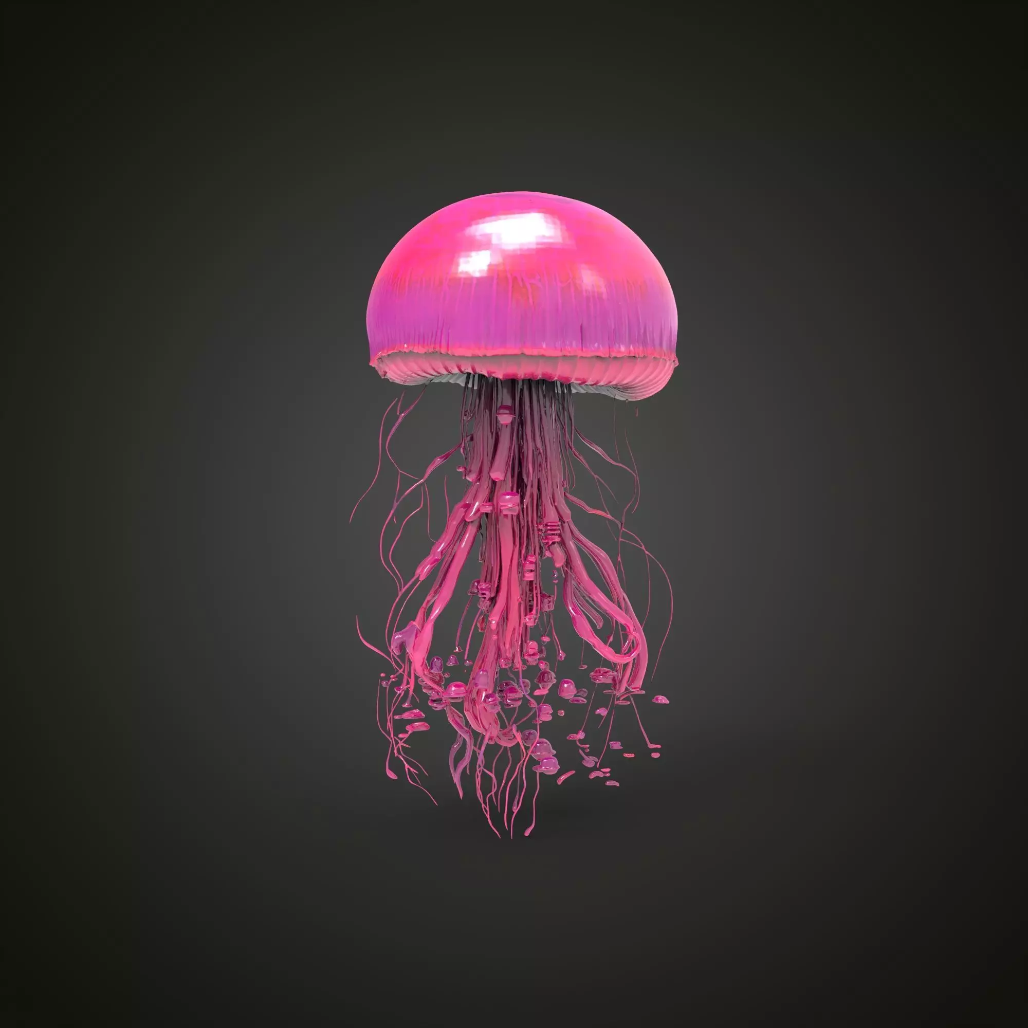 Pink  jellyfish 3D model_4