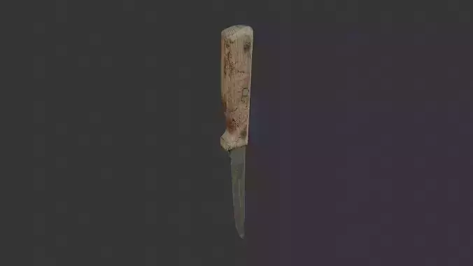 Kitchen Knife with Wooden Handle