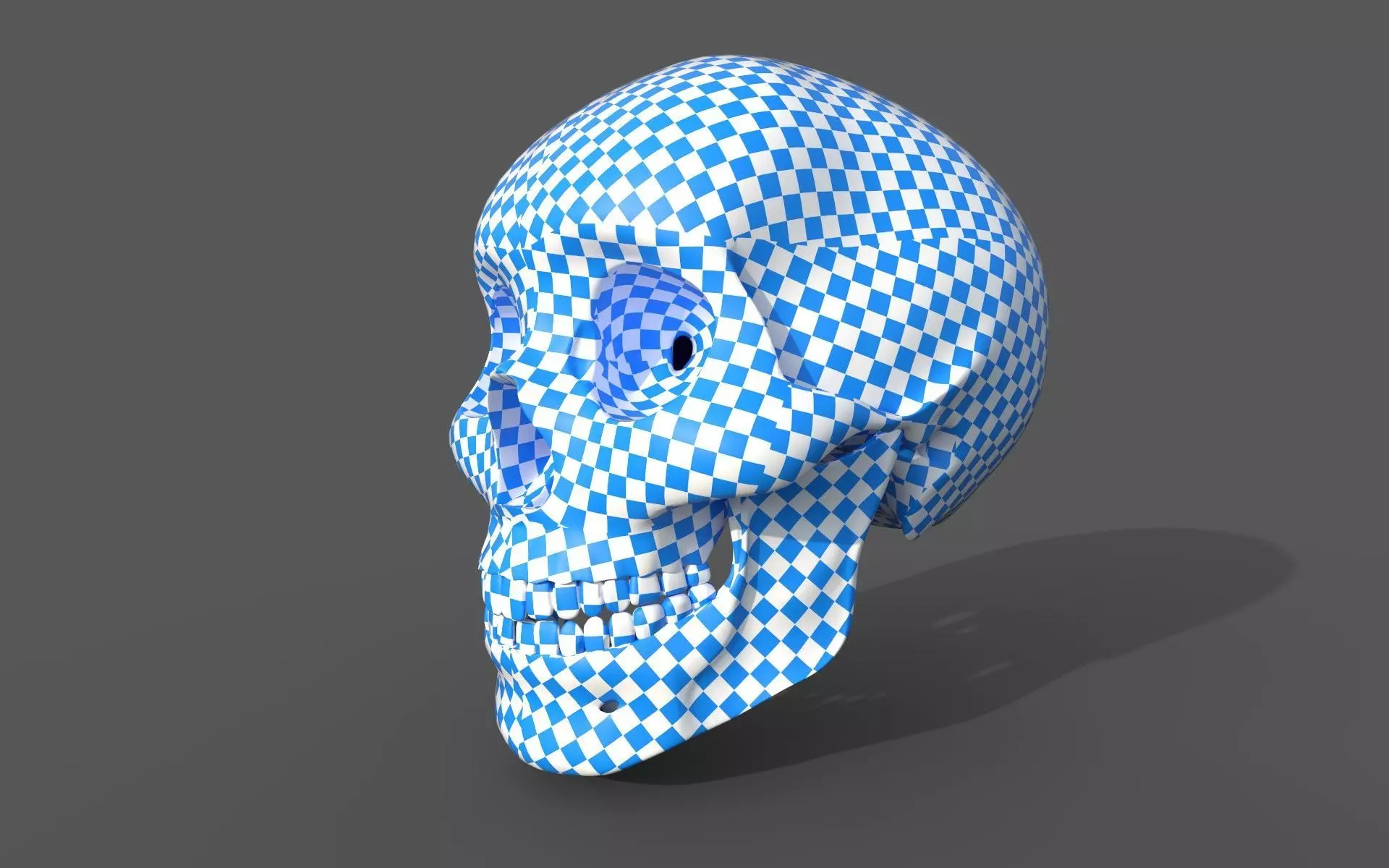 Human Skull 3D model_10