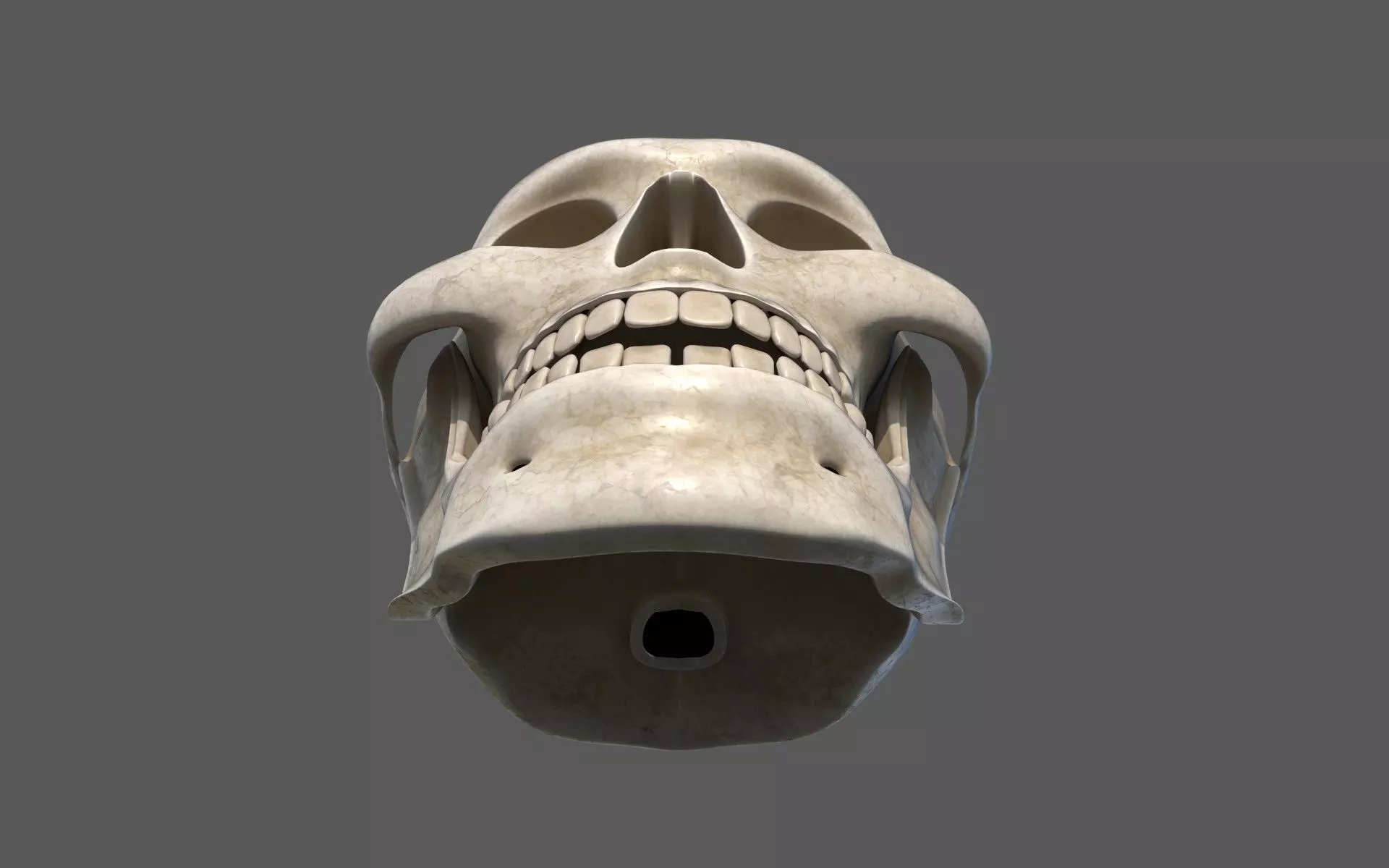 Human Skull 3D model_5
