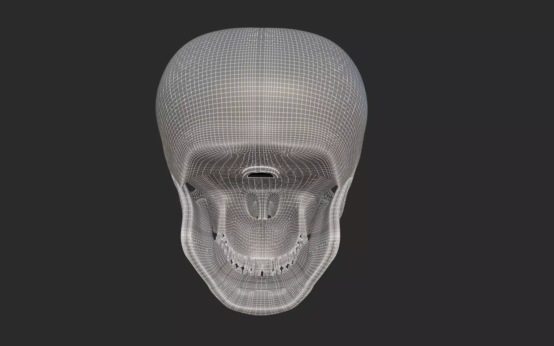 Human Skull 3D model_6