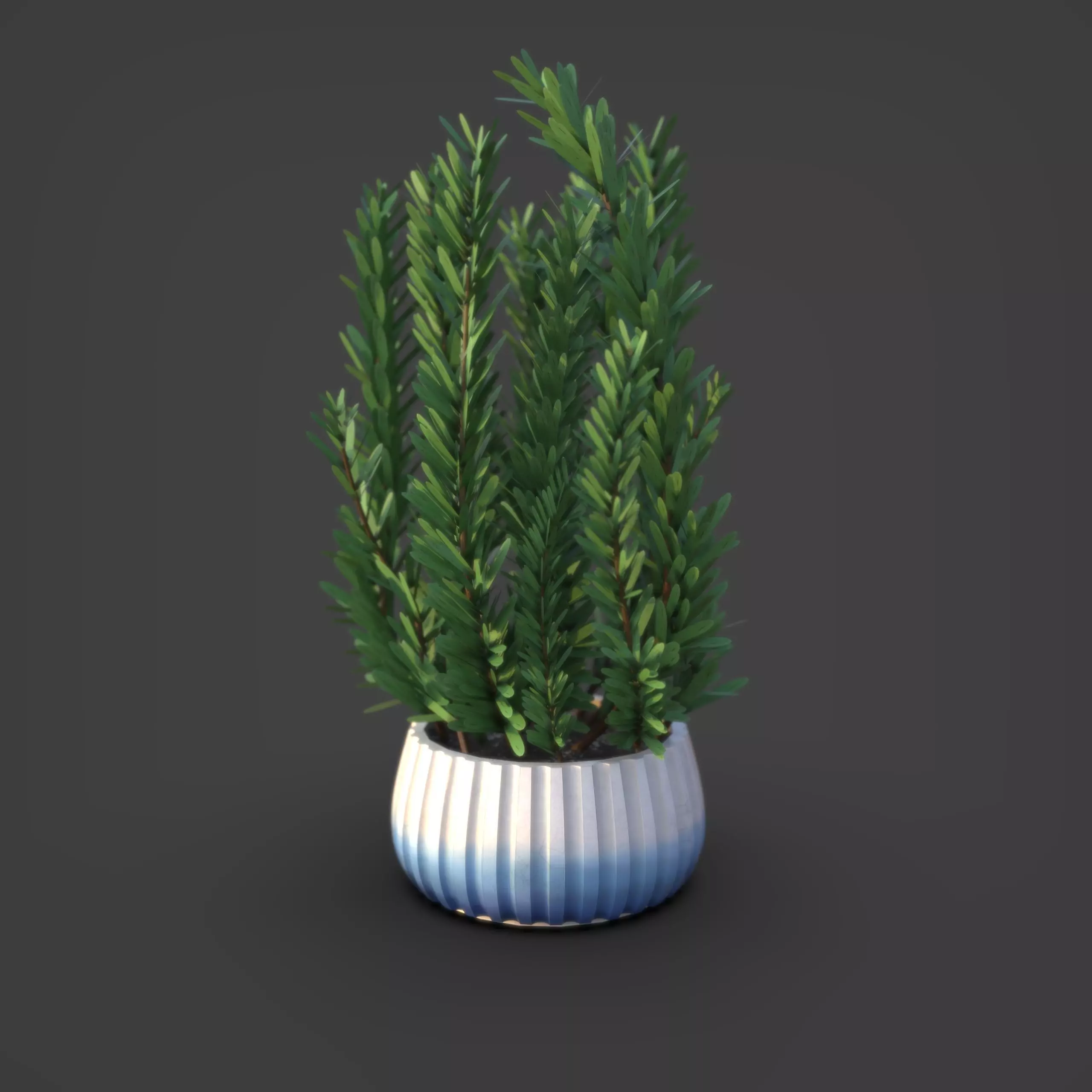 Various Plants 3D Model Collection_6