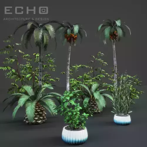 Various Plants 3D Model Collection
