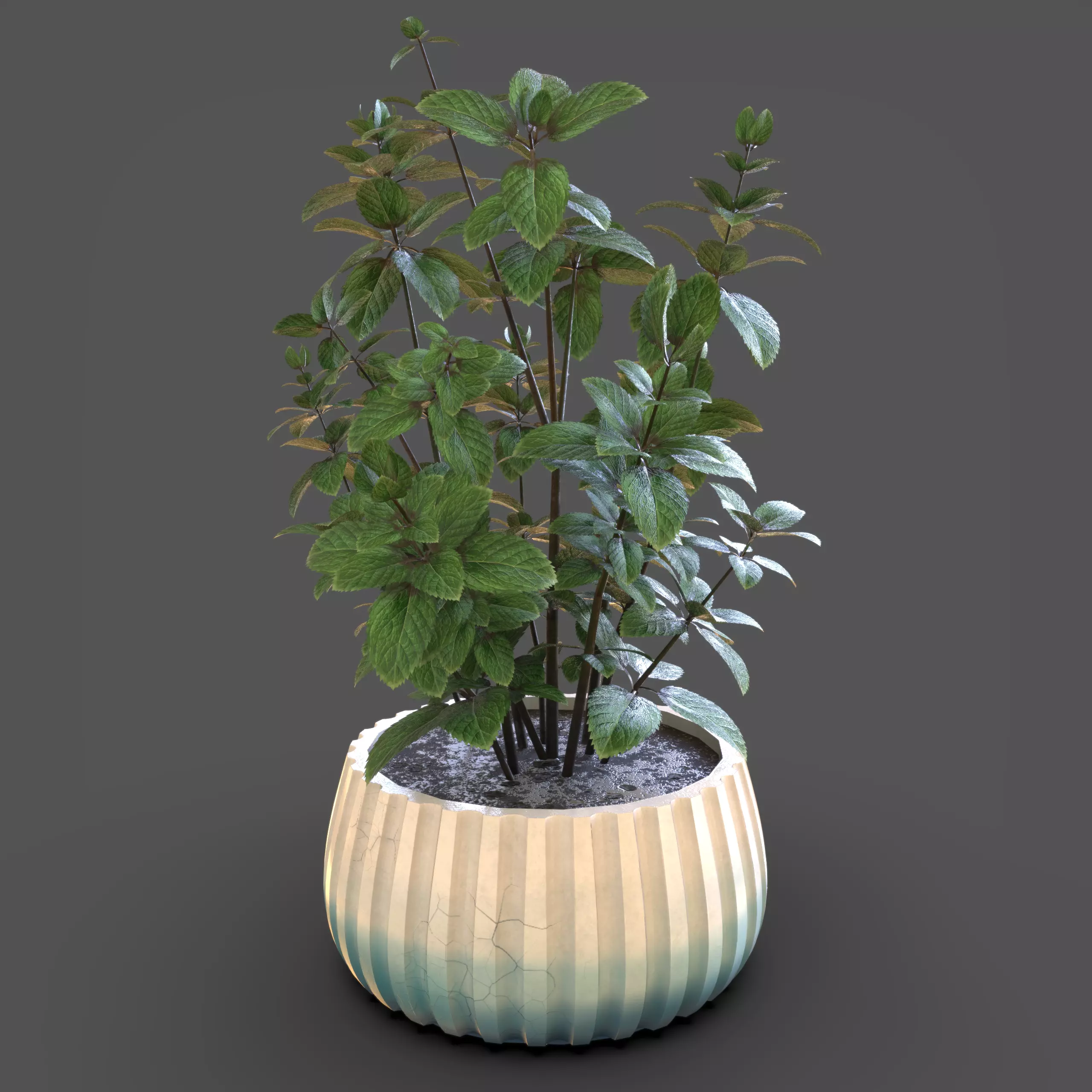Various Plants 3D Model Collection_17