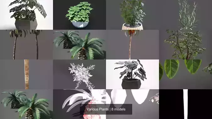 Various Plants