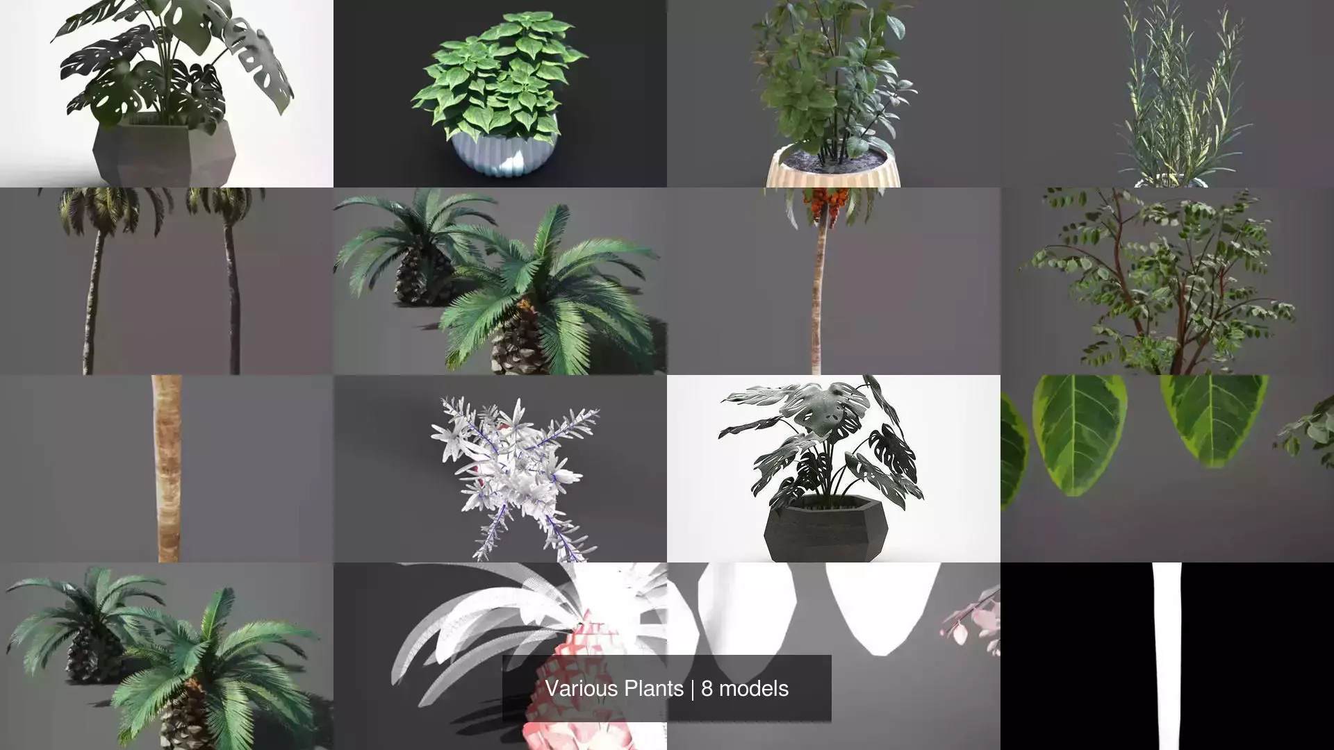 Various Plants 3D Model Collection_1
