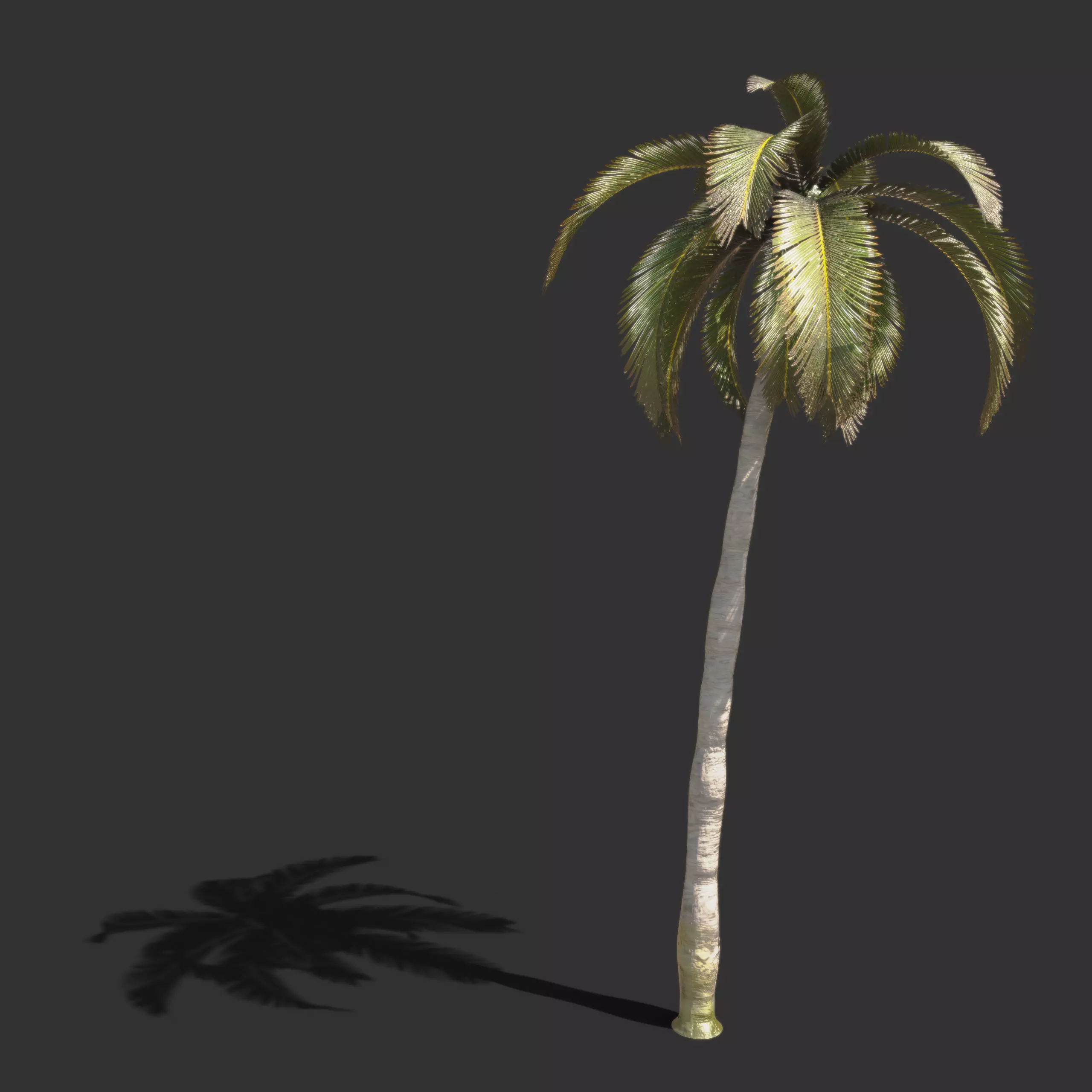 Various Plants 3D Model Collection_10