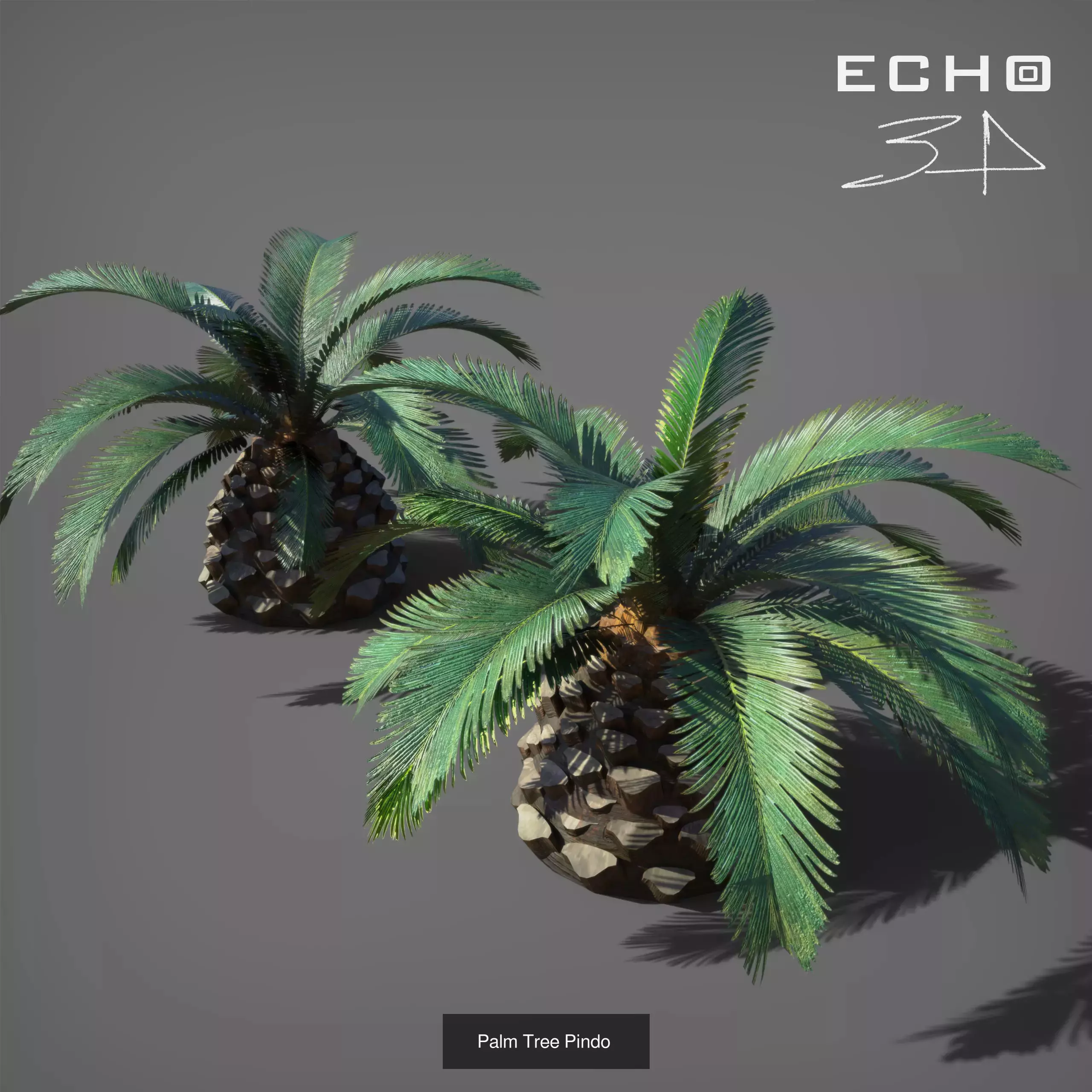 Various Plants 3D Model Collection_7