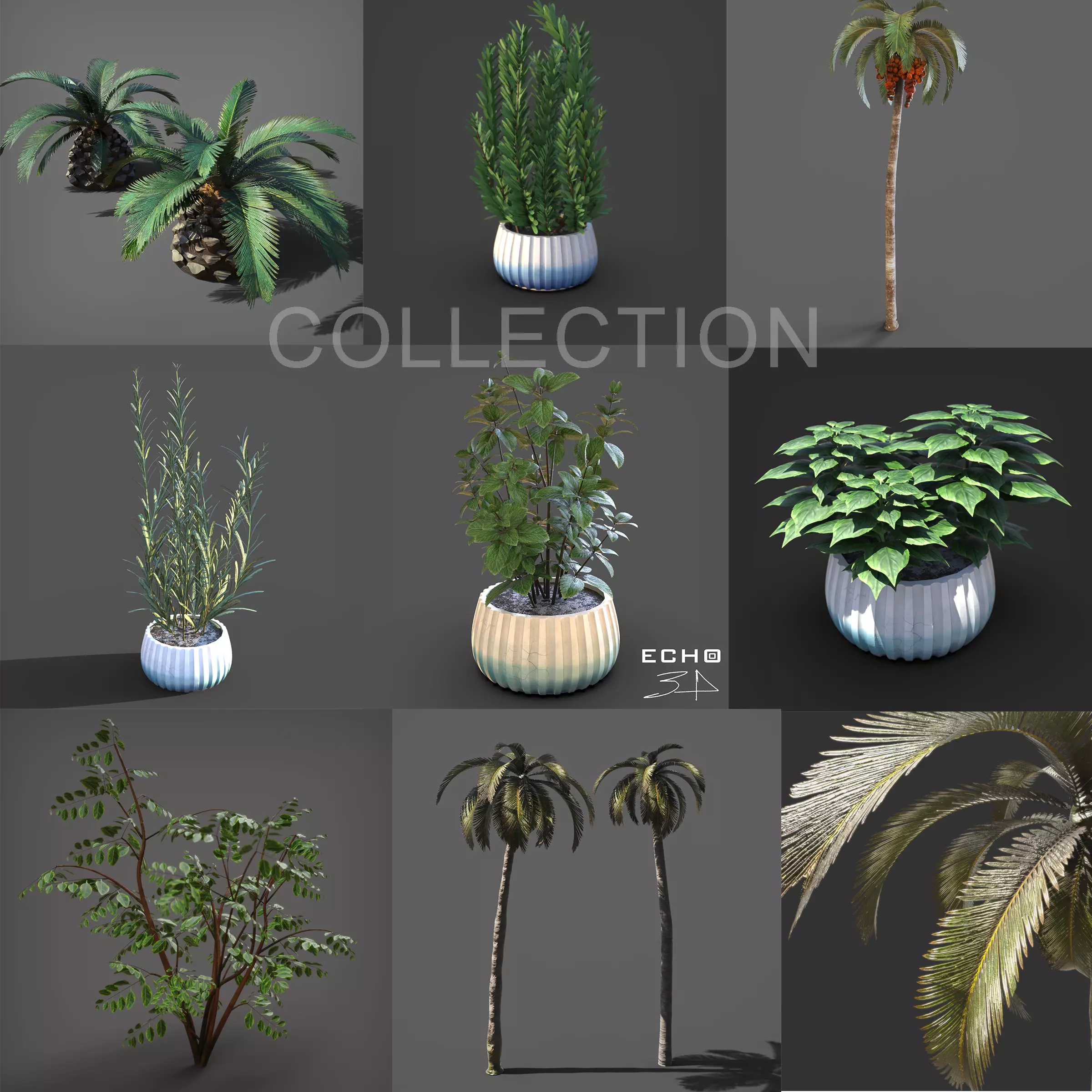 Various Plants 3D Model Collection_2