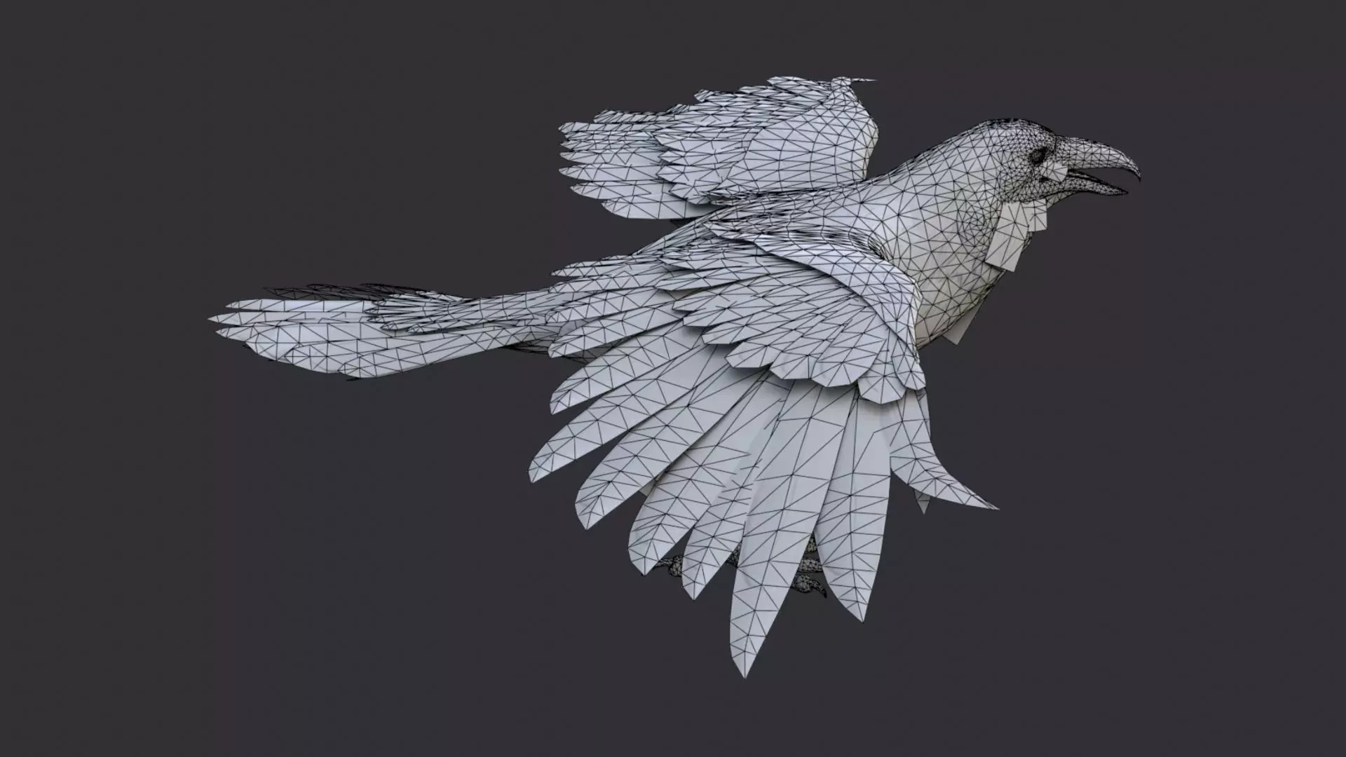Raven Bird Visual Asset for Rendering Low-poly 3D model_7