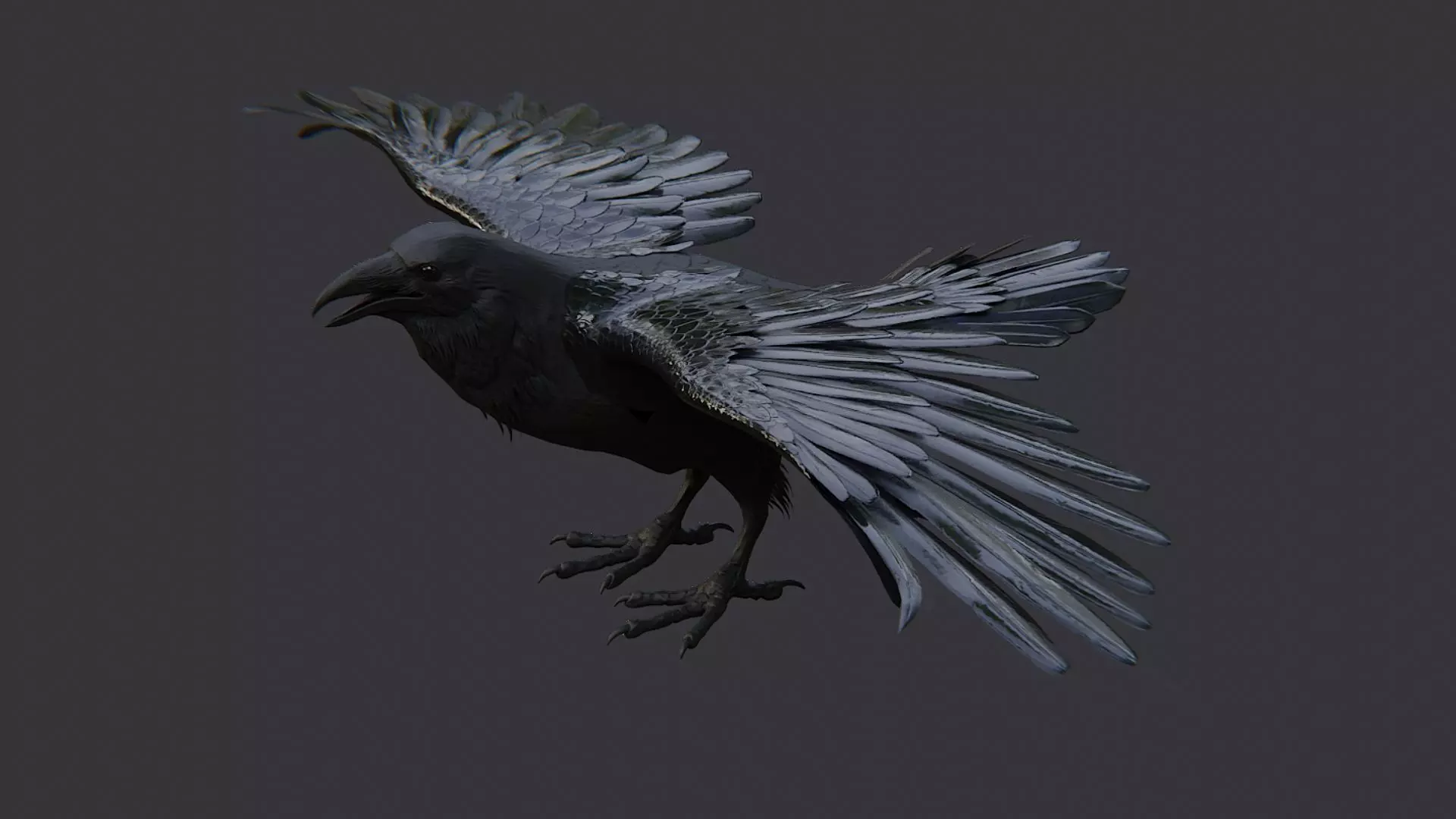 Raven Bird Visual Asset for Rendering Low-poly 3D model_3