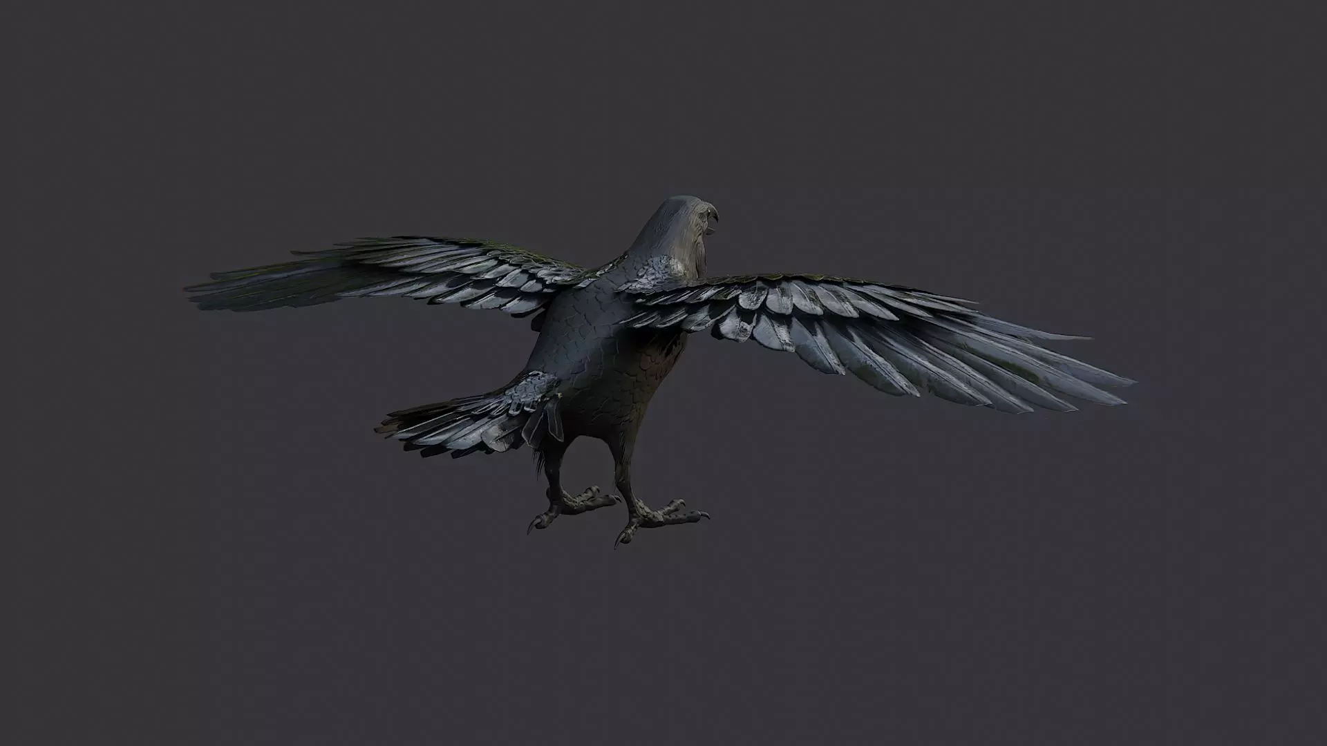 Raven Bird Visual Asset for Rendering Low-poly 3D model_1