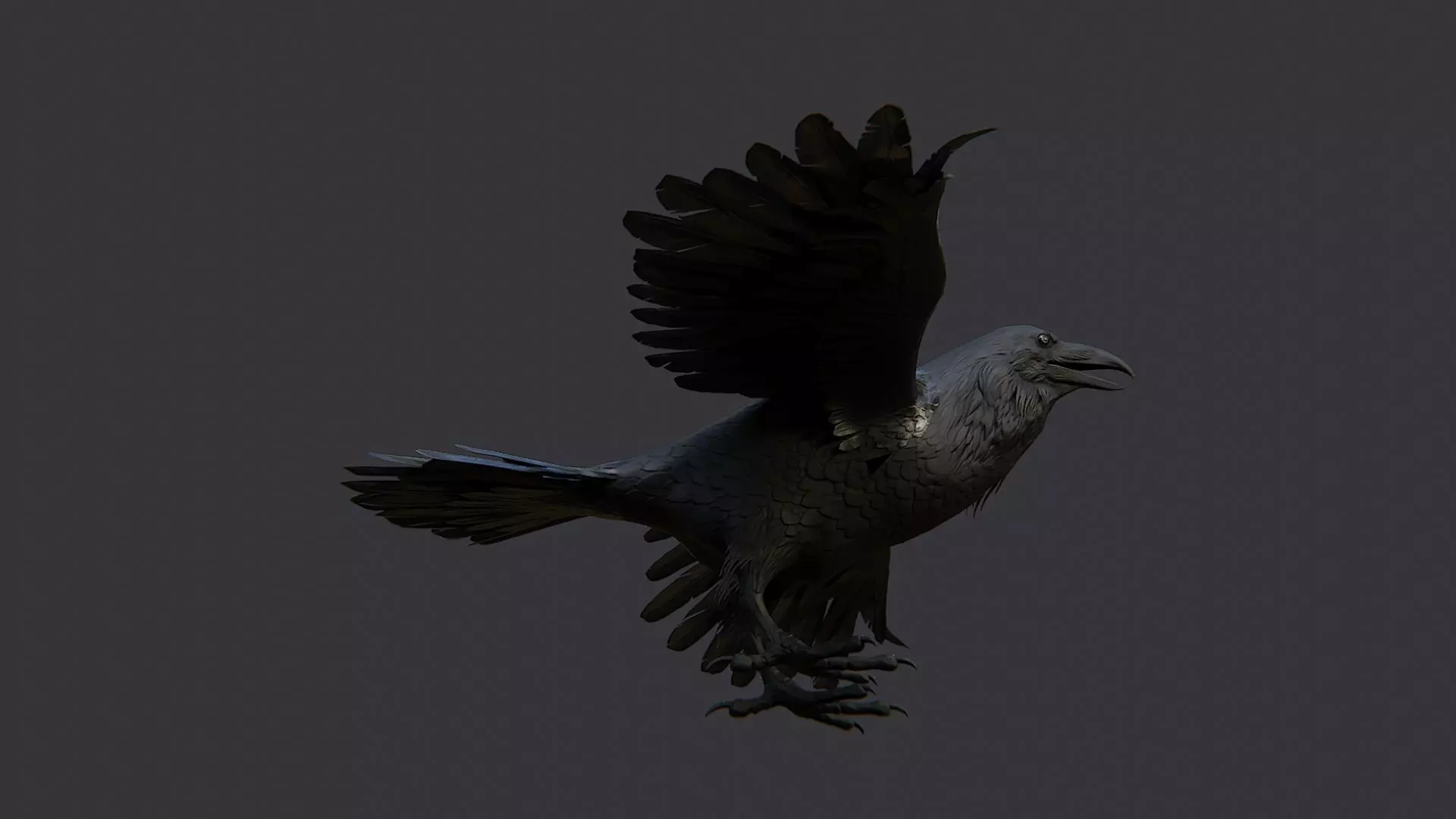 Raven Bird Visual Asset for Rendering Low-poly 3D model_5