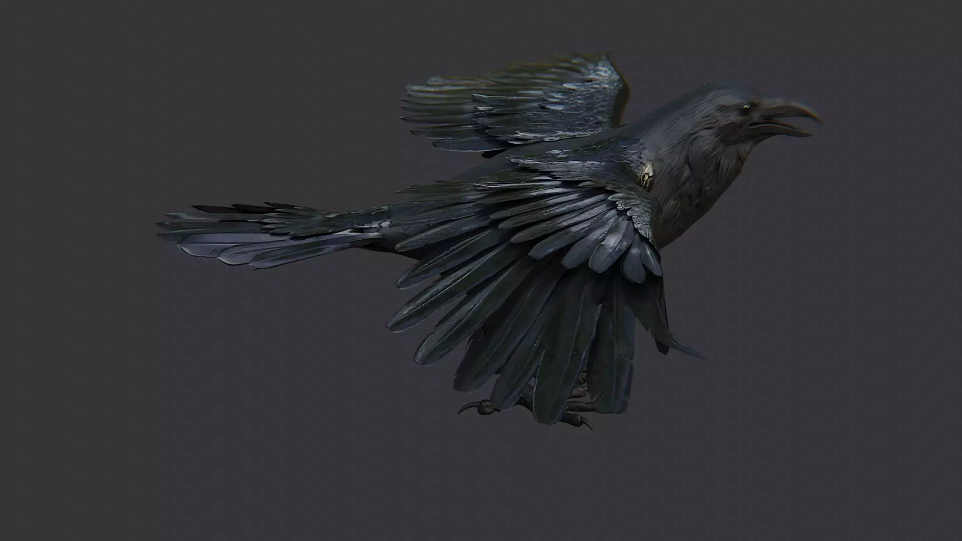 Raven Bird Visual Asset for Rendering Low-poly 3D model_0