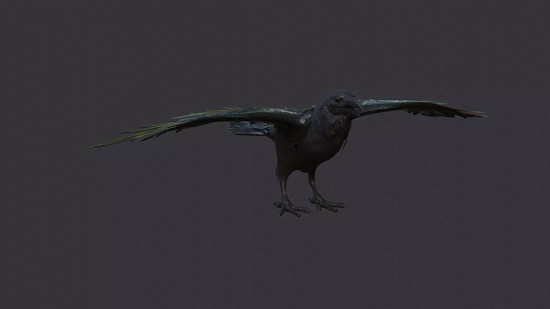 Raven Bird Visual Asset for Rendering Low-poly 3D model_2