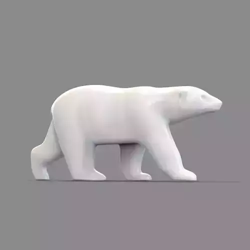 polar bear 