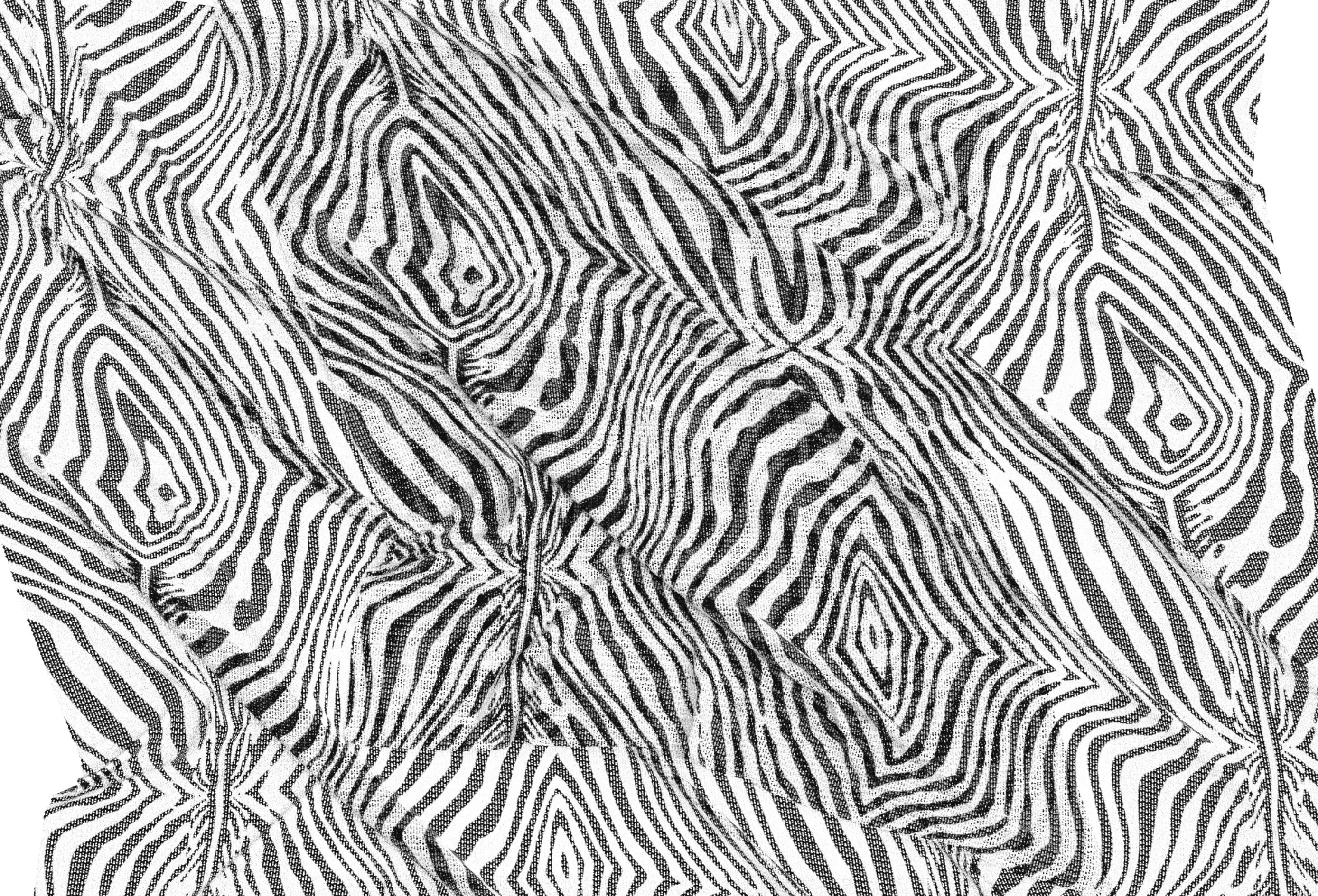 Black and White Zebra Printed Mesh Fabric PBR Texture ZFAB File 3D model
