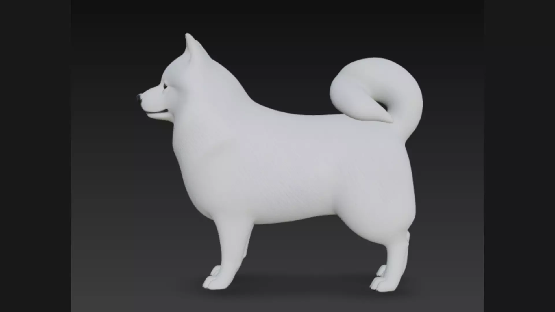 American Eskimo Dog 3D Model 3D model_1