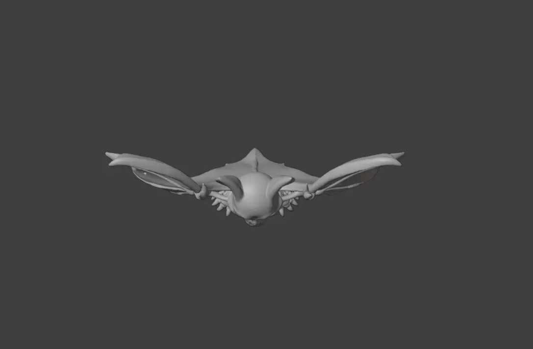 Skeletal Bat Demon Low-poly 3D model_17