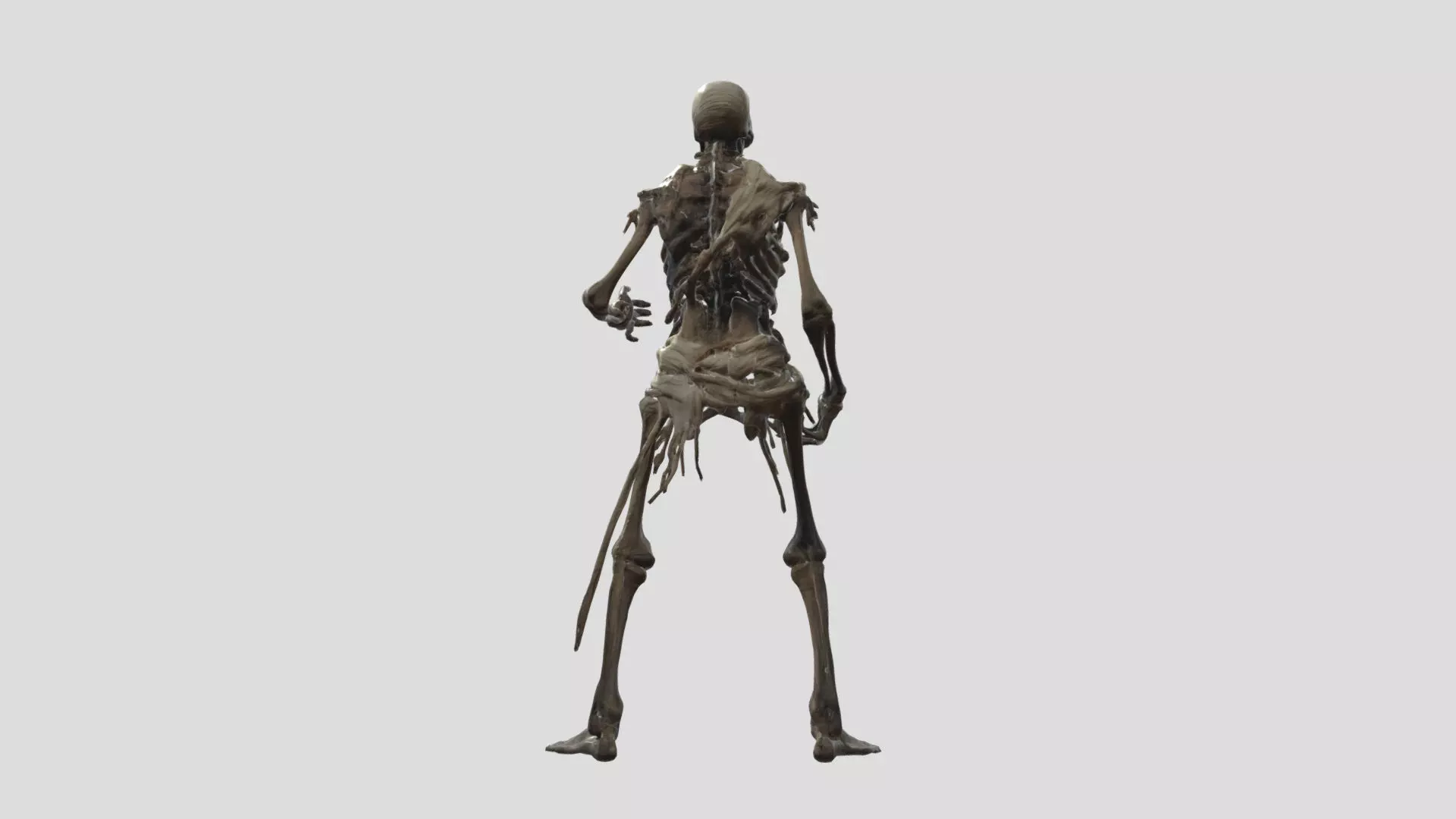 Skeleton Warrior - Rigged Fantasy Creature Low-poly 3D model_4