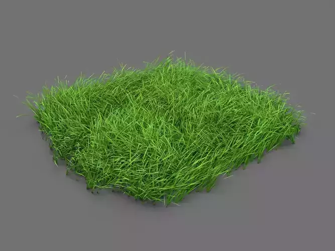 Grass  AstroTurf 