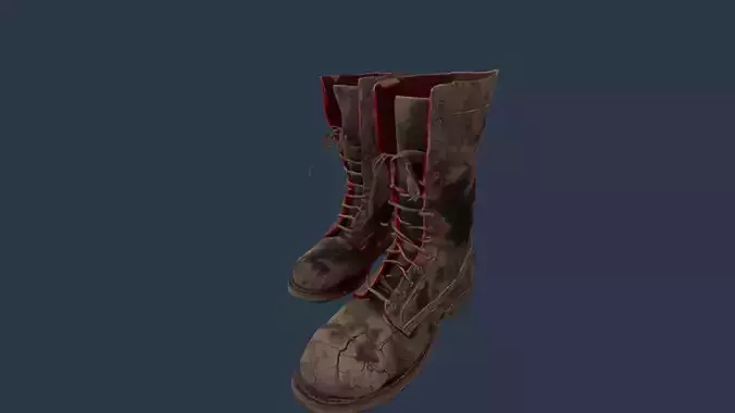 Boot Shoe