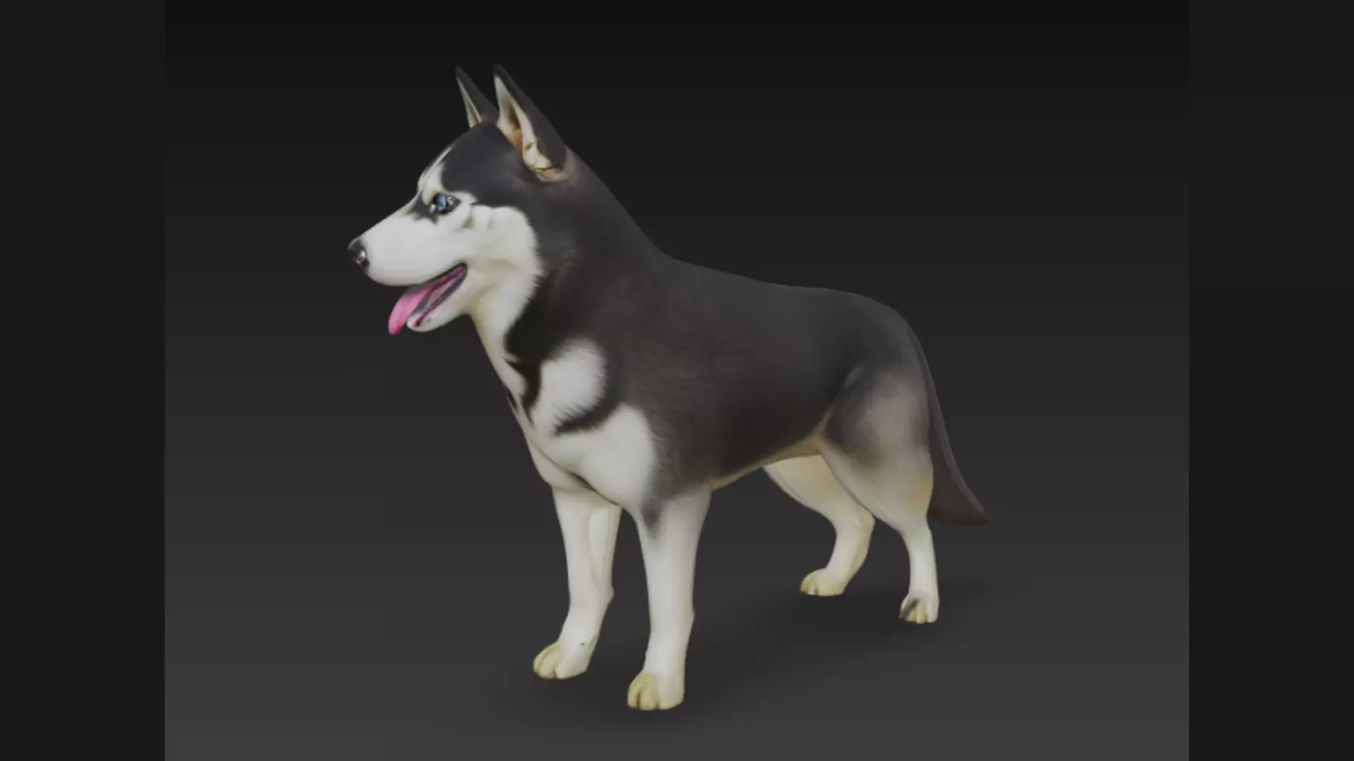 Siberian Husky Dog 3D Model 3D model_1