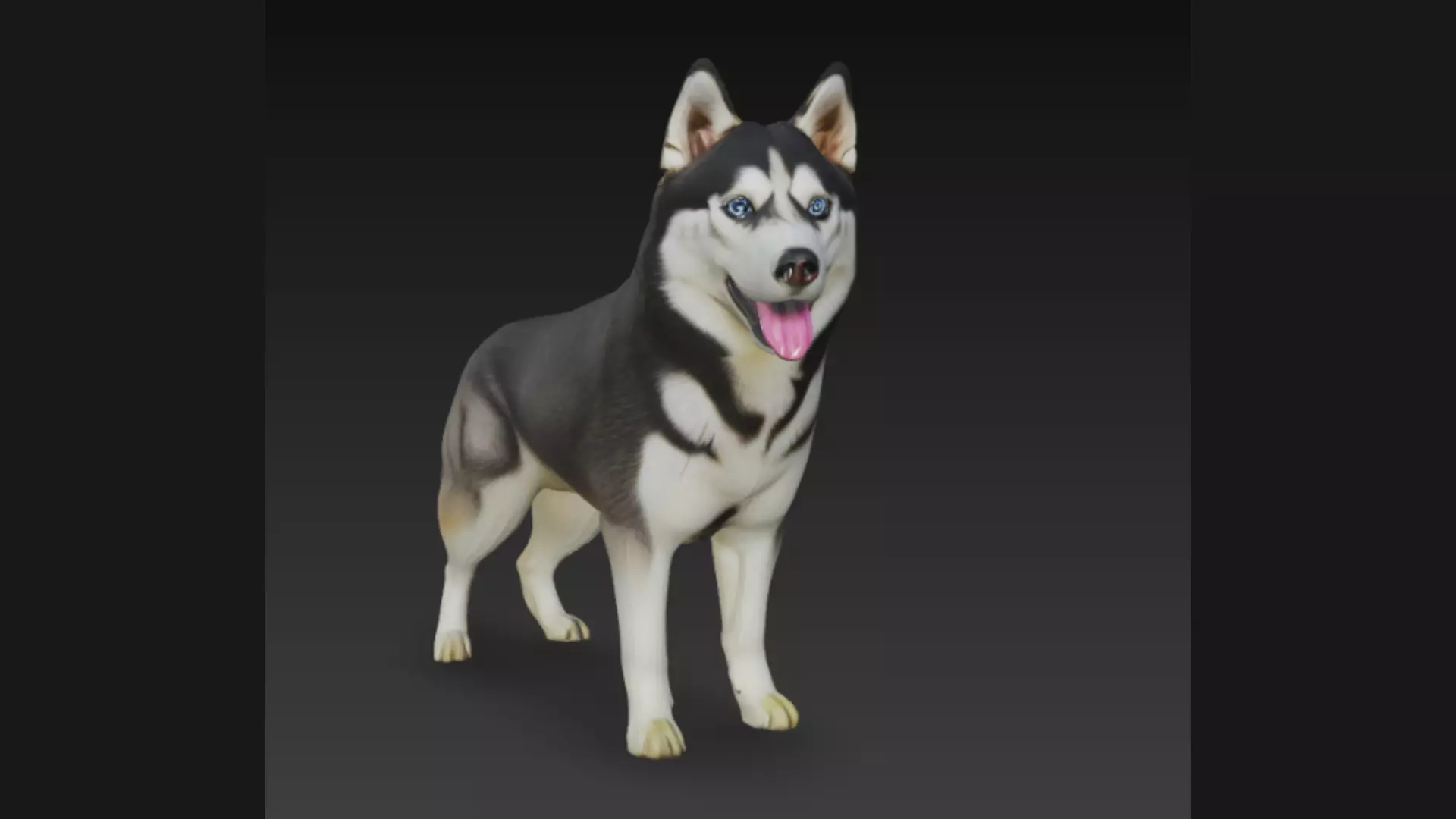 Siberian Husky Dog 3D Model 3D model_3