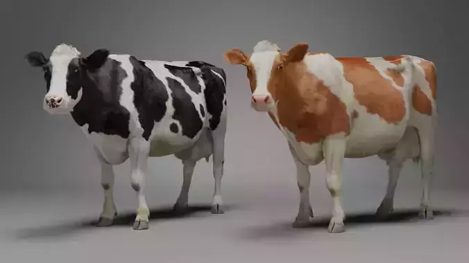 Holstein Female Animation VFX Grace Free low-poly 3D model Holstein Female Animation VFX Grace Free low-poly 3D model