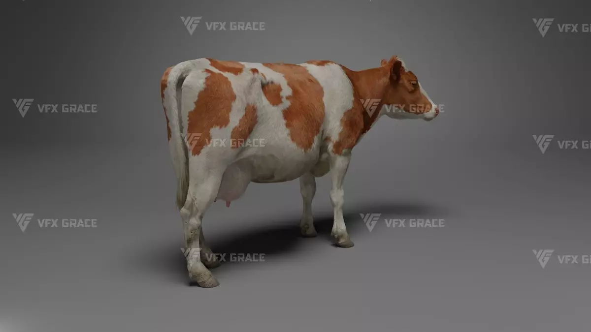 Holstein Female Animation VFX Grace Free low-poly 3D model_3