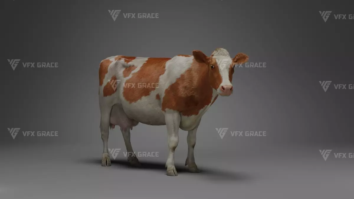 Holstein Female Animation VFX Grace Free low-poly 3D model_1