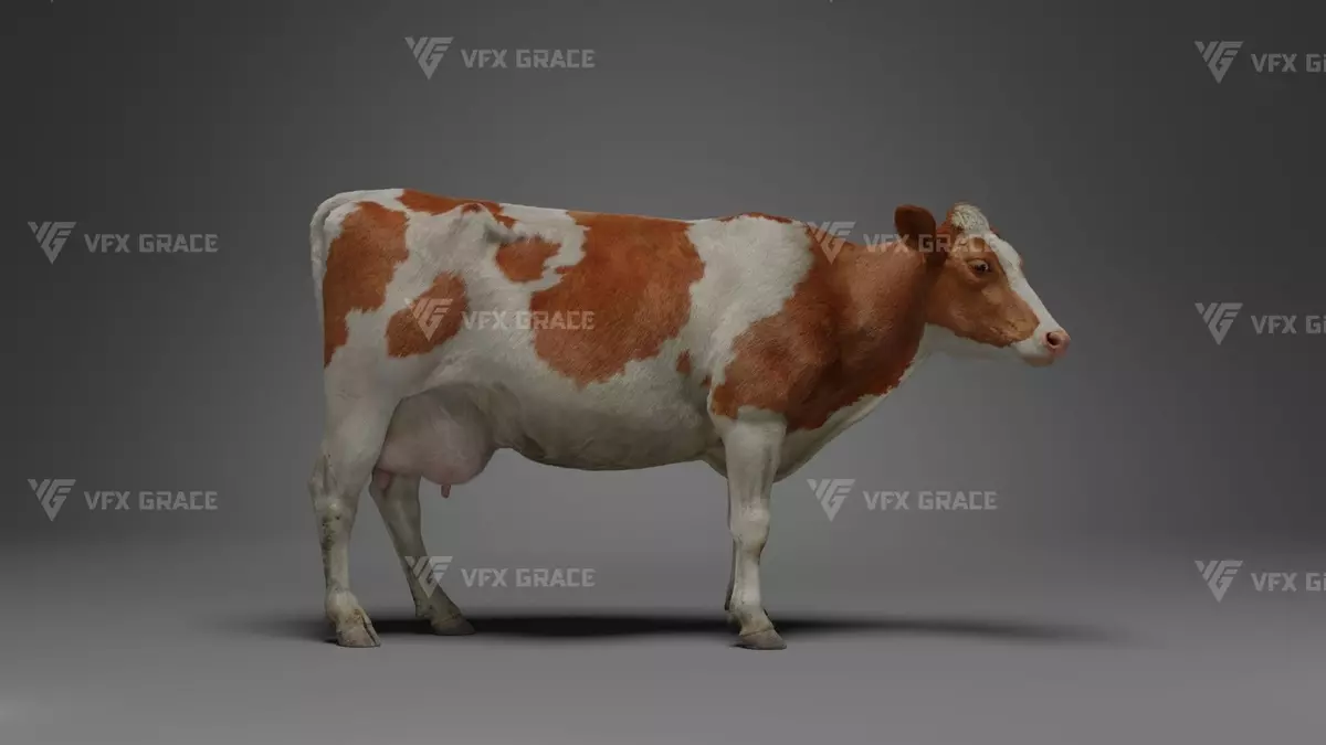 Holstein Female Animation VFX Grace Free low-poly 3D model_2